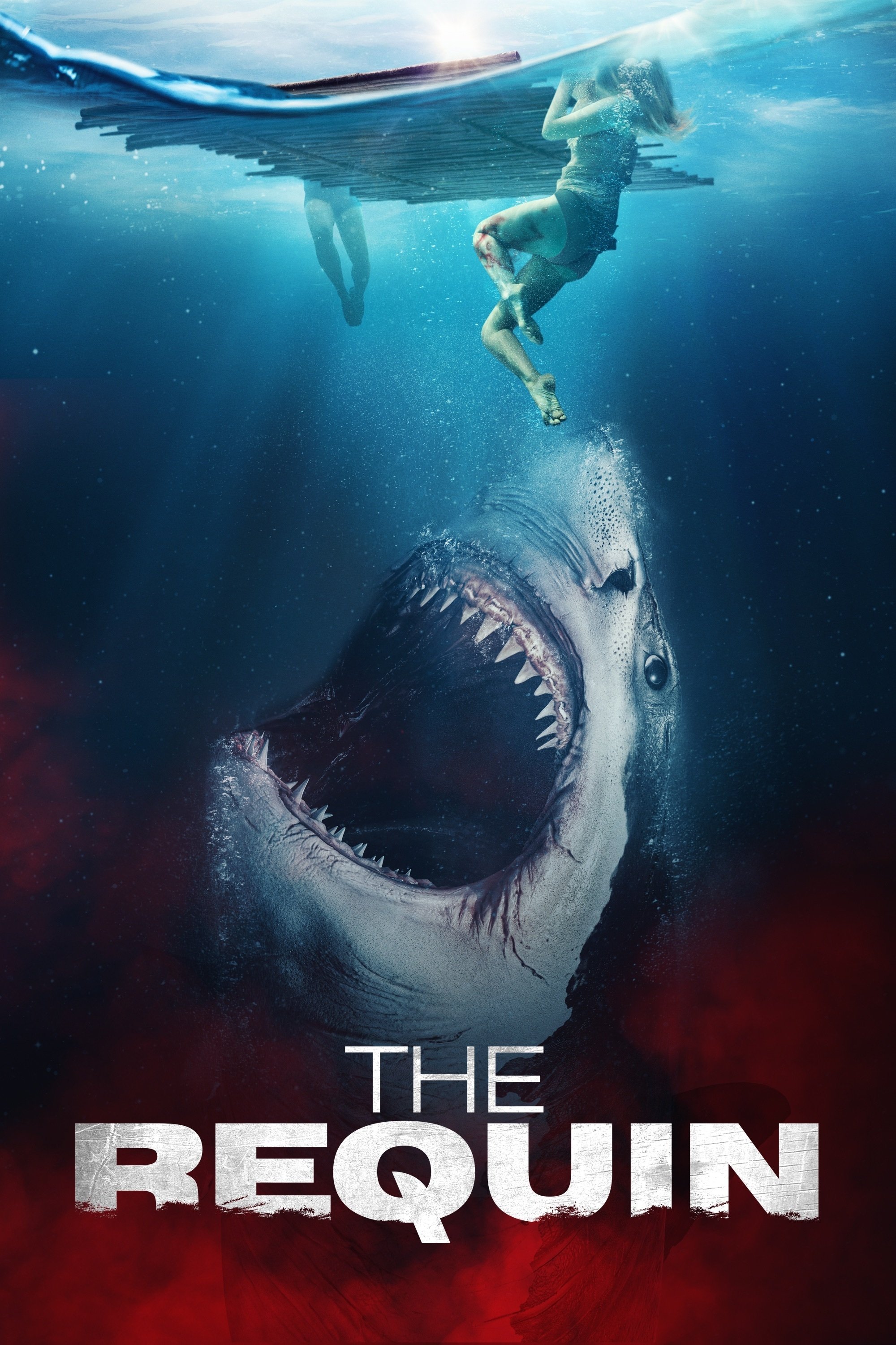 Постер The Requin
